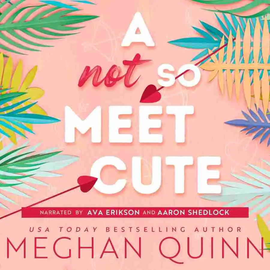 A Not So Meet Cute Plot Summary Spoilers, Review